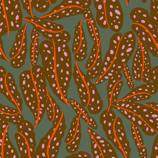 Calathea - Overlapping Leaves - Cocoa