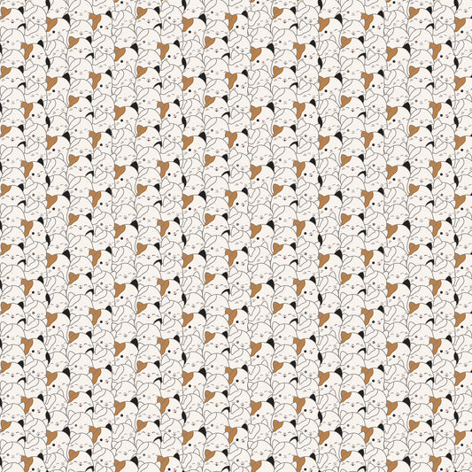 Squishmallows - Cam the Cat