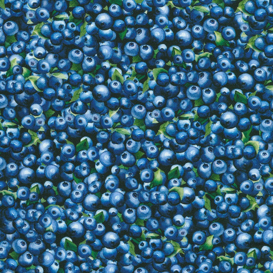 Blueberry Brunch - Blueberry