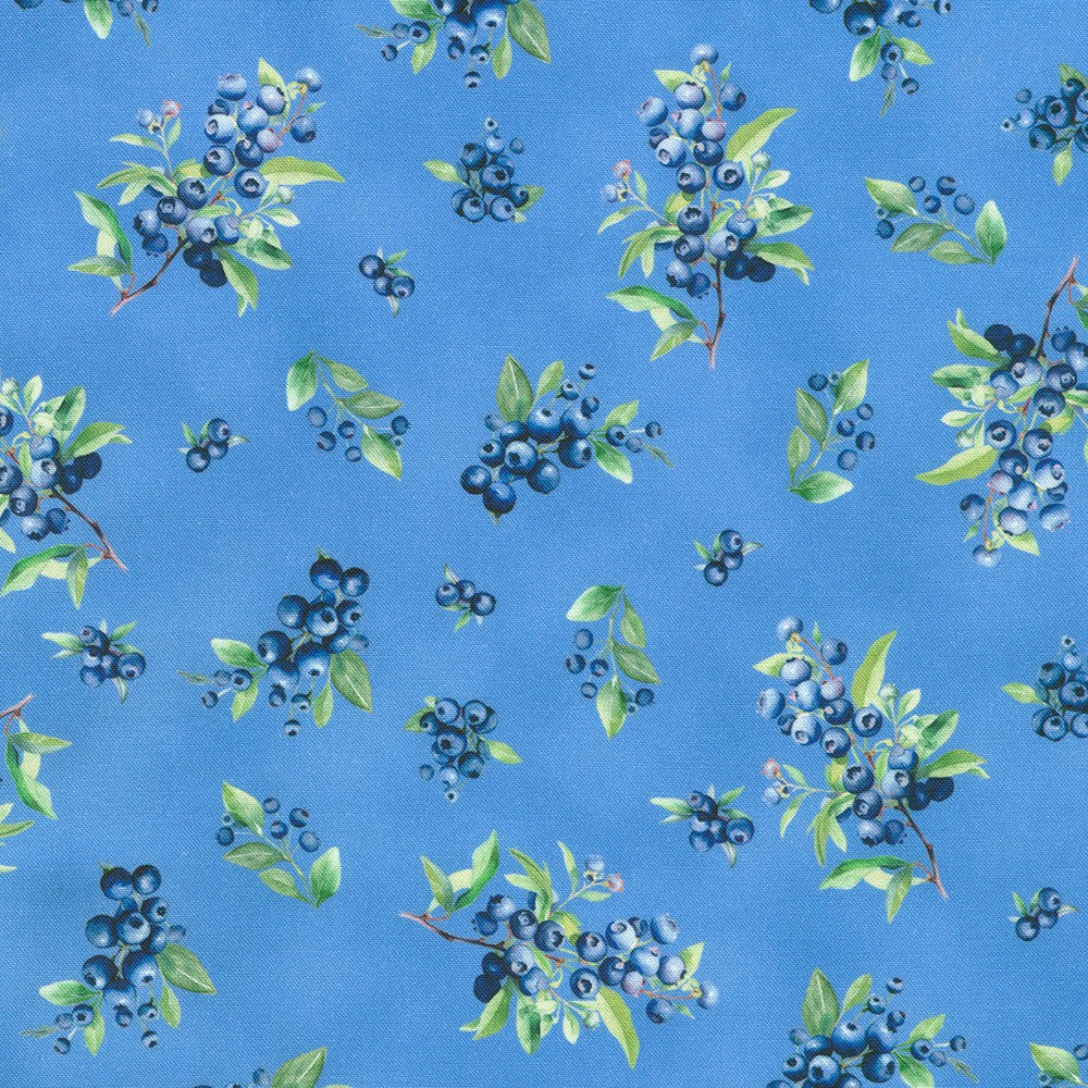 Blueberry Brunch - Blue Jay