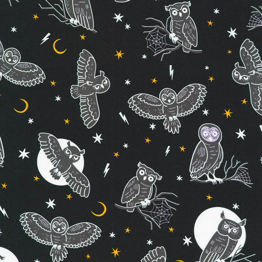 Pattern of owls and moon phases on a dark background