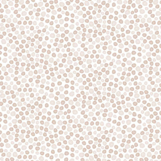 Beyond the Sea - Sand Dollars - White