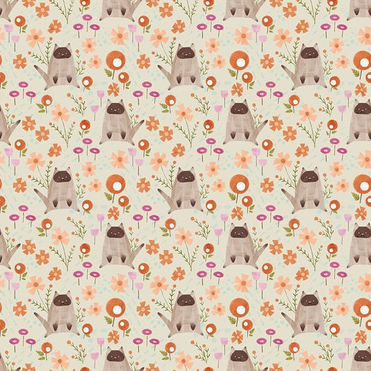 Lazy Sunday - Lazy Kittens - Almond