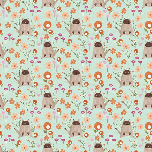 Lazy Sunday - Lazy Kittens - Freeze