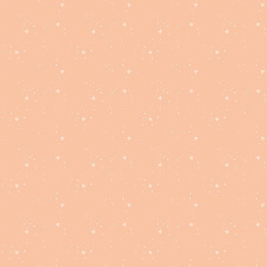 Kitty Litter - Cantaloupe