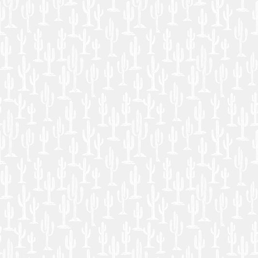 White on White - Cacti