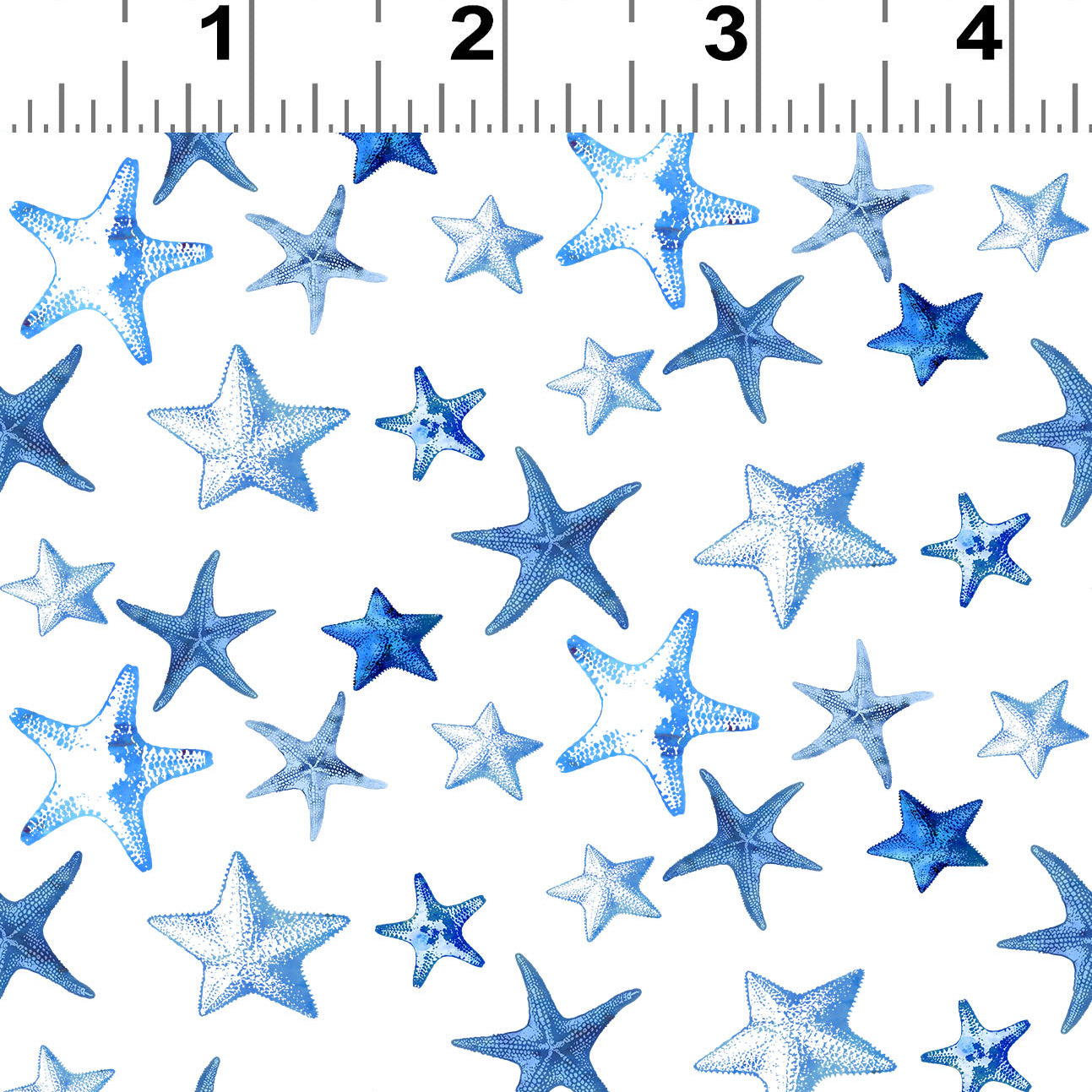 WWSH 2026 - Starfish