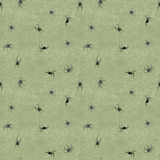 Dark Academia - Spiders - Sage