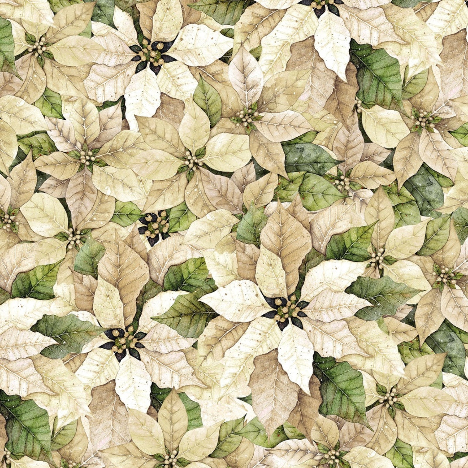 white poinsettias with green leaves