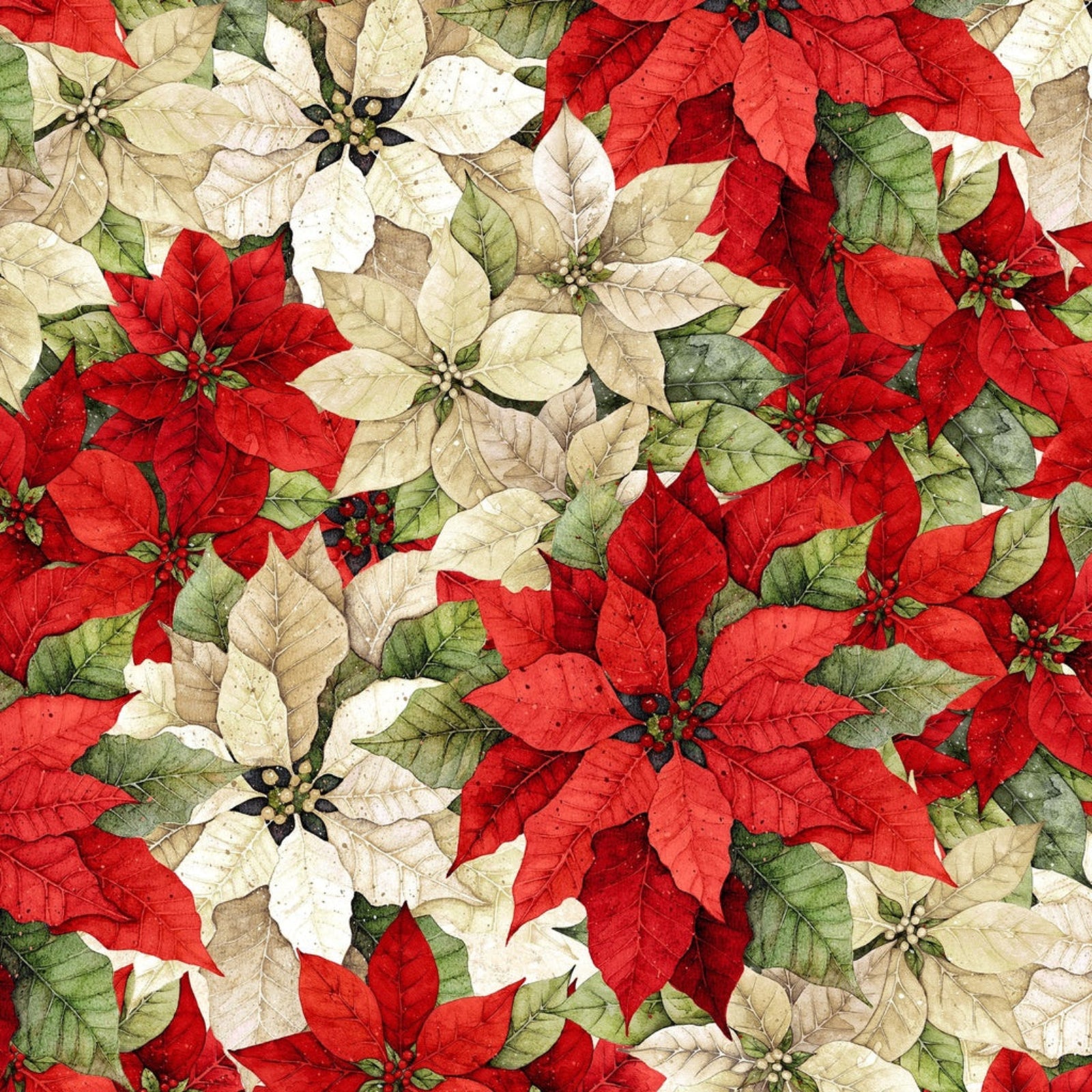 packed red and white poinsettias with green leaves