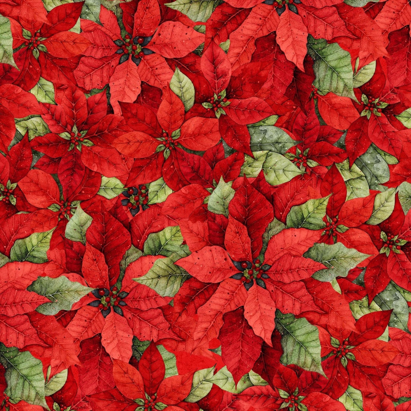 packed red poinsettias with green leaves