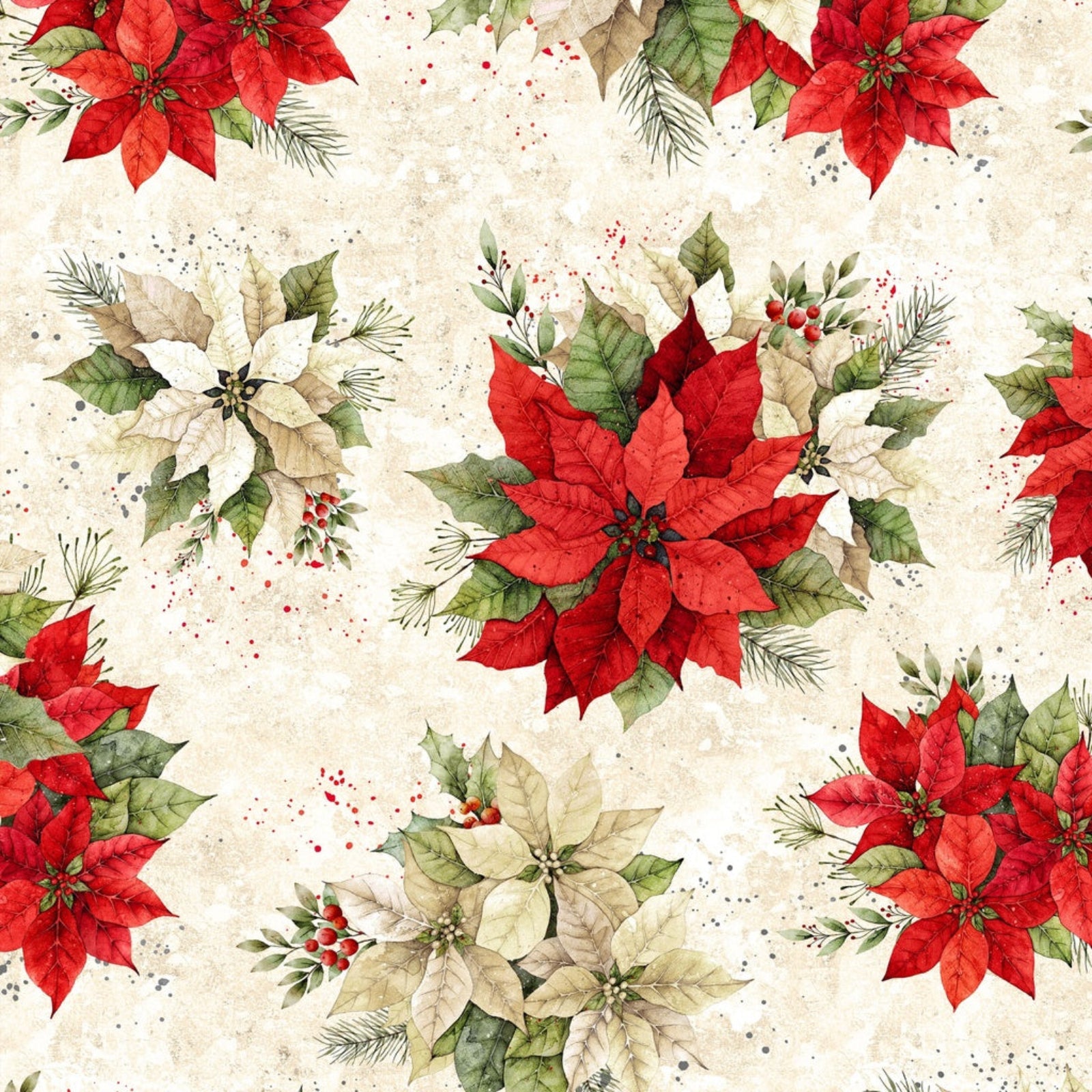 Bouquets of poinsettias of red and white