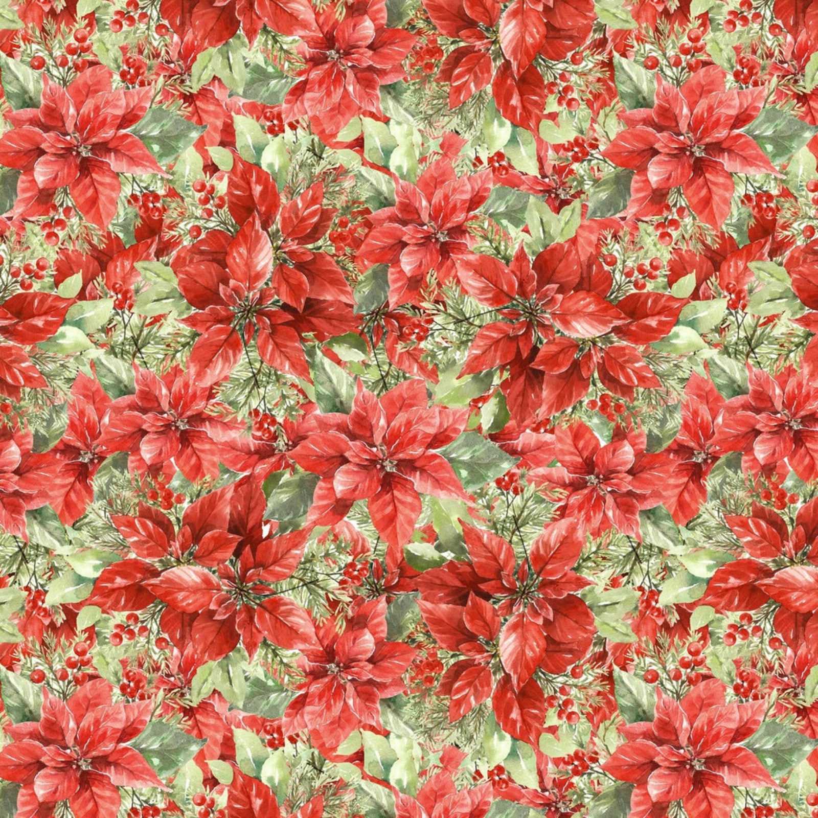 Packed red poinsettias with green leaves
