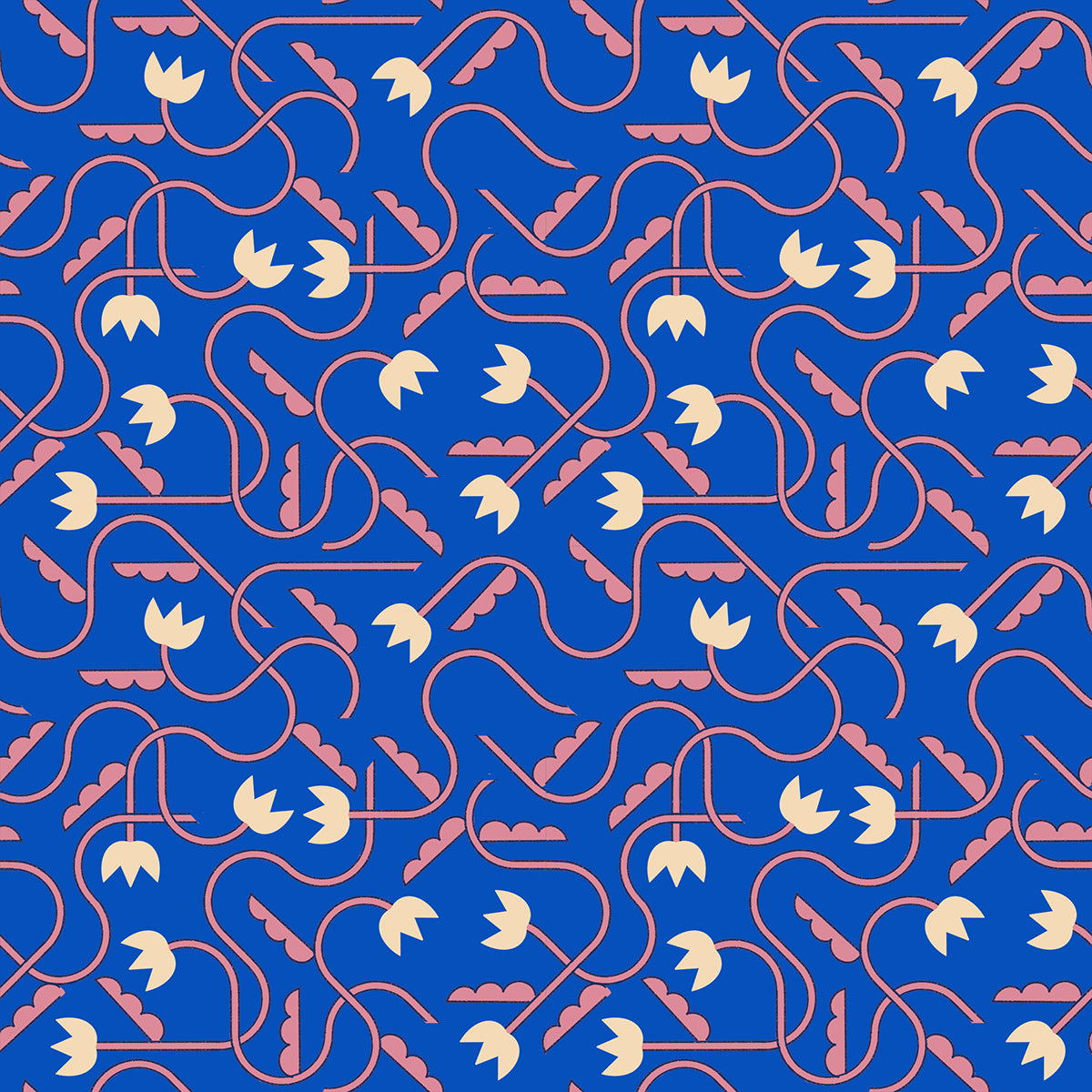 Woodland Park - That One Flower - Blue Ribbon