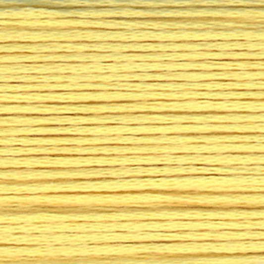 Cosmo Embroidery Floss 700