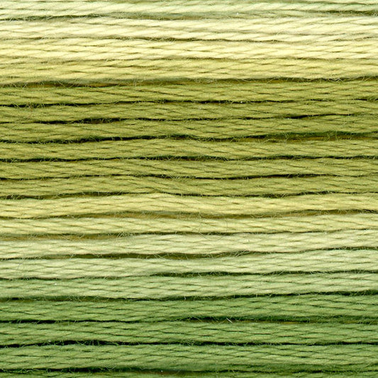 Cosmo Embroidery Floss 8016