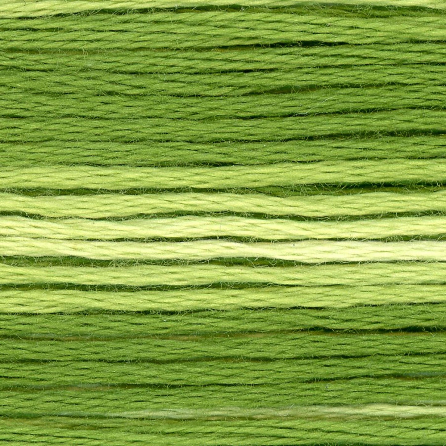 Cosmo Embroidery Floss 8021