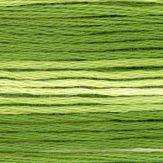 Cosmo Embroidery Floss 8021