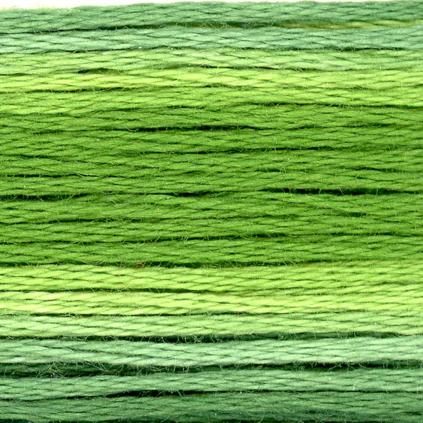 Cosmo Embroidery Floss 8024
