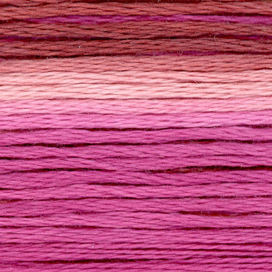 Cosmo Embroidery Floss 8061