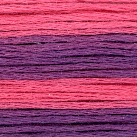 Cosmo Embroidery Floss 8062