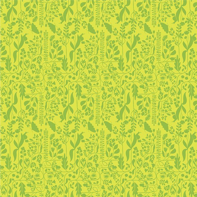 Insectarium - Meander - Grass