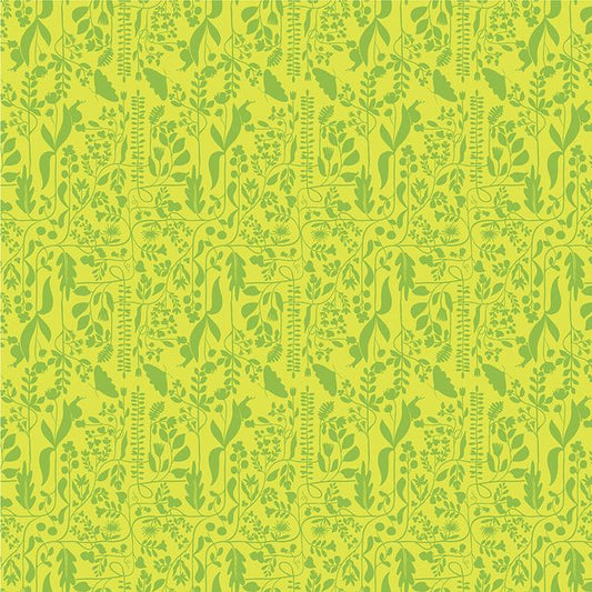 Insectarium - Meander - Grass