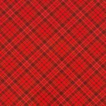 Red  plaid fabric pattern filling the frame.