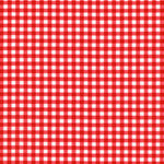 Red and white gingham checkered fabric pattern filling the frame.