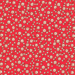 Small white flowers on a red background
