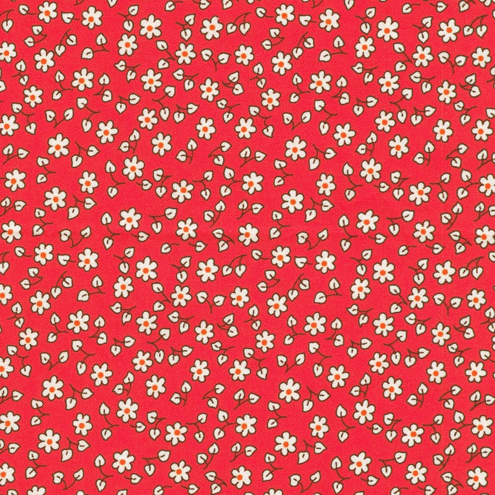 Small white flowers on a red background