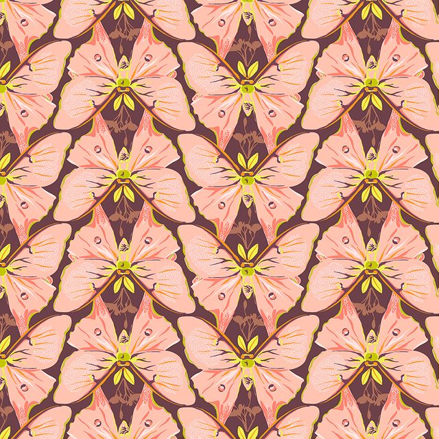 Insectarium - Luna - Pink