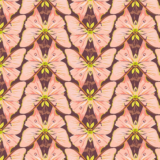 Insectarium - Luna - Pink