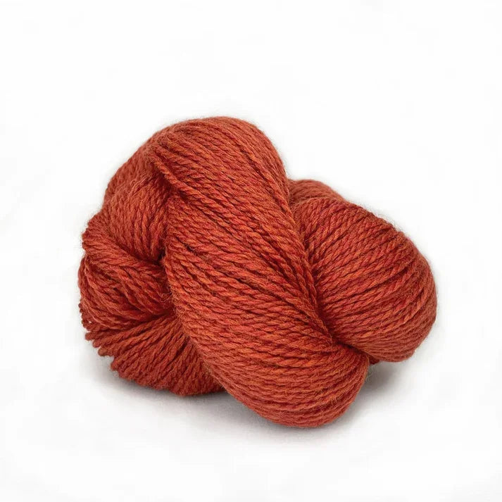 Scout - Burnt Orange Heather