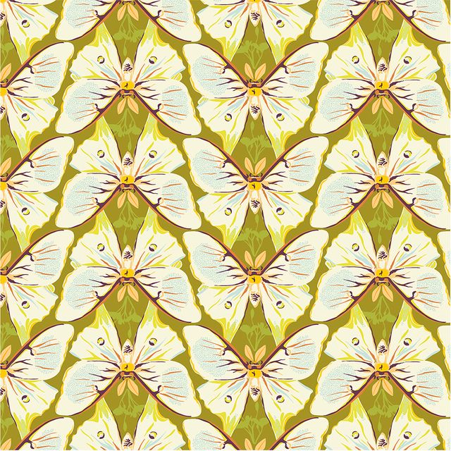 Insectarium - Luna - Spring