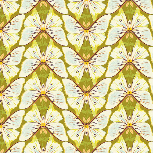 Insectarium - Luna - Spring