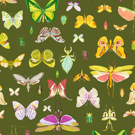 Insectarium - One Display - Olive